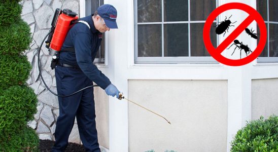 Toprakkale Böcek ve Haşere İlaçlama böcek ilaçlama ve haşere kontrolü — ilaclama-tr.com